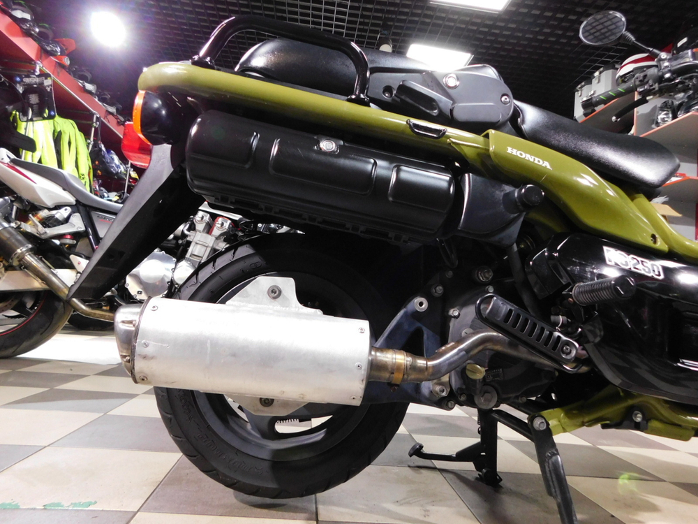 Honda PS250 BIG ruckus MF09-1001444