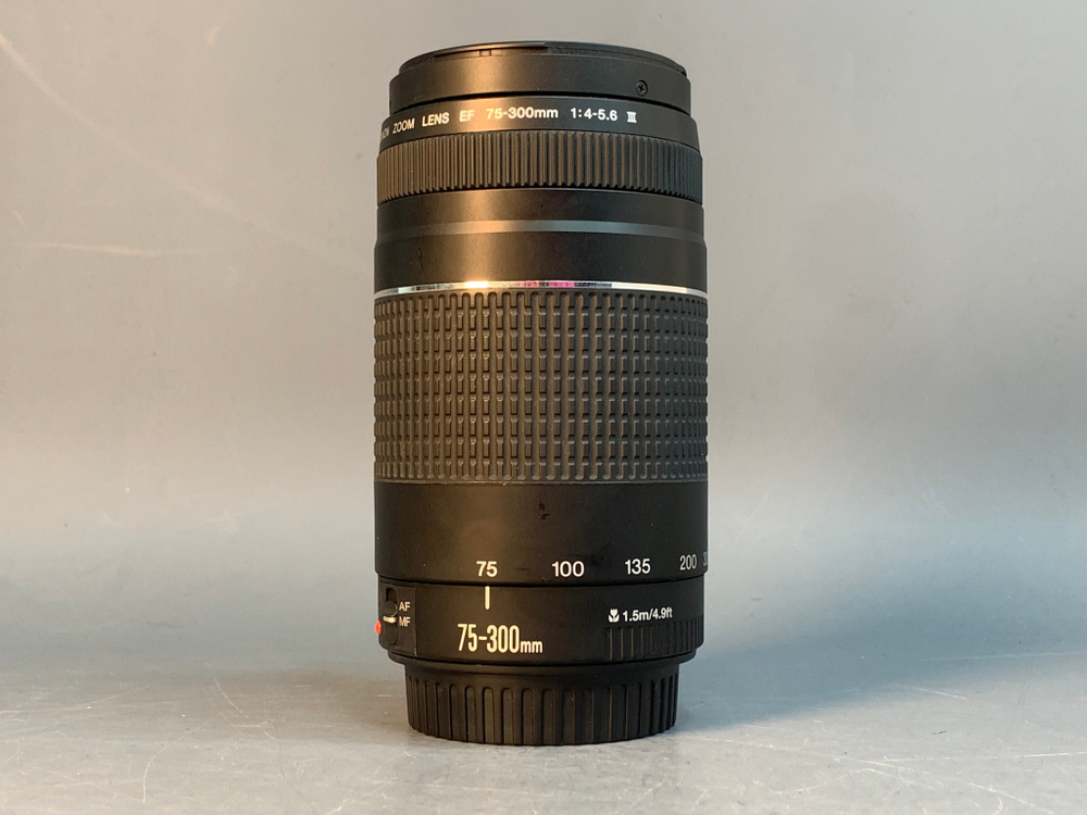Canon EF 75-300mm 4-5.6 III