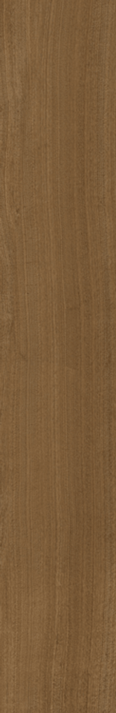 Italon Element Wood Mogano 20x120