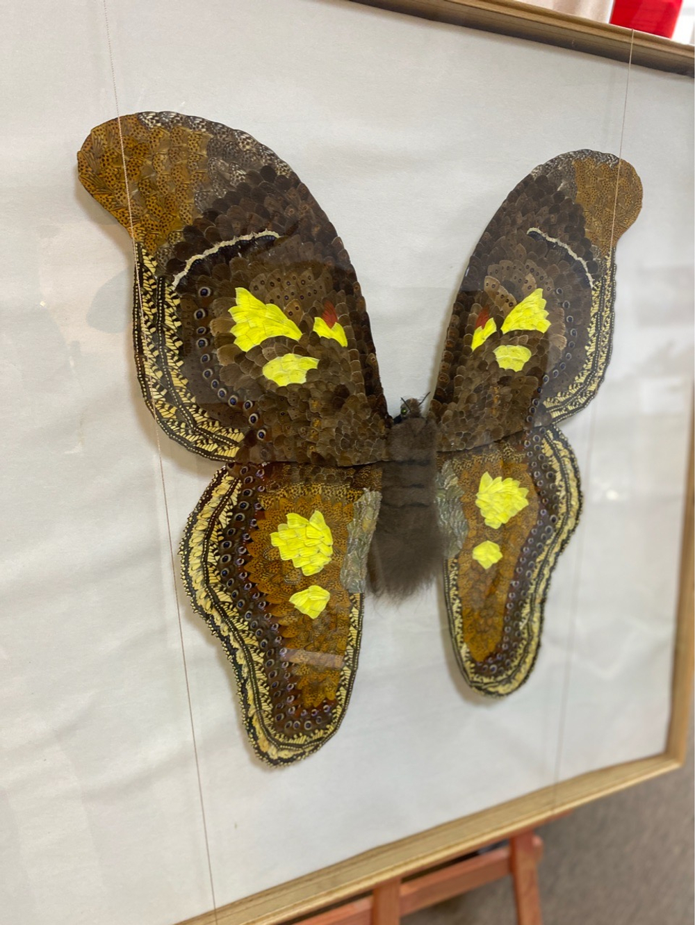 Бабочка-павлиноглазка