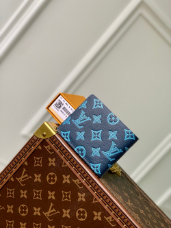 Louis Vuitton Multiple Wallet