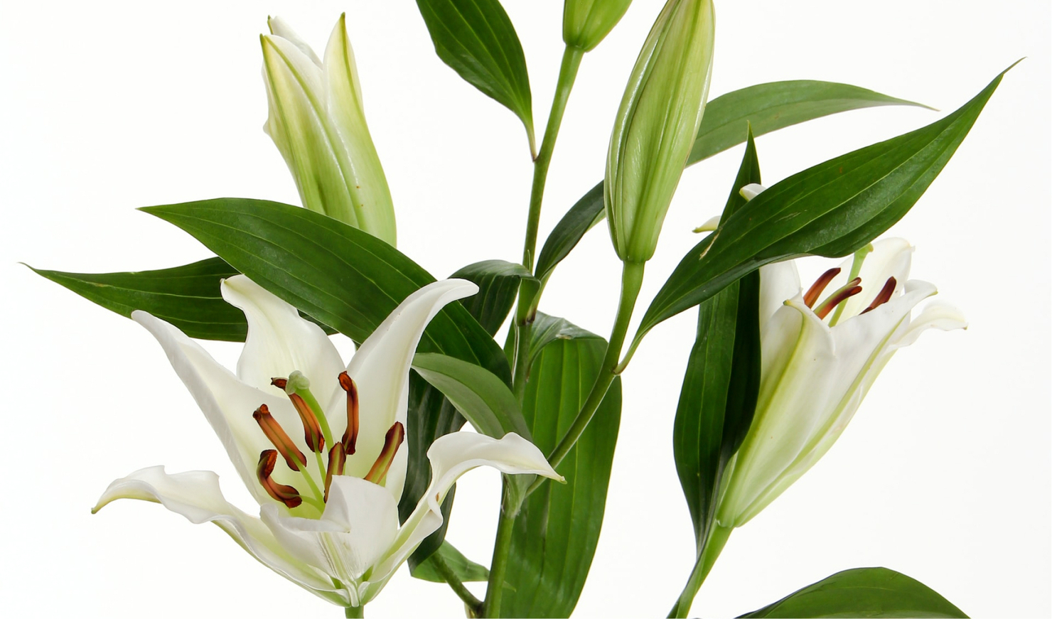 Шестая новость