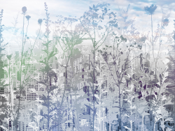 Коллекция URBAN