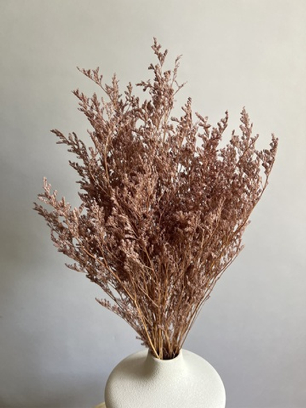 Кермек коричневый