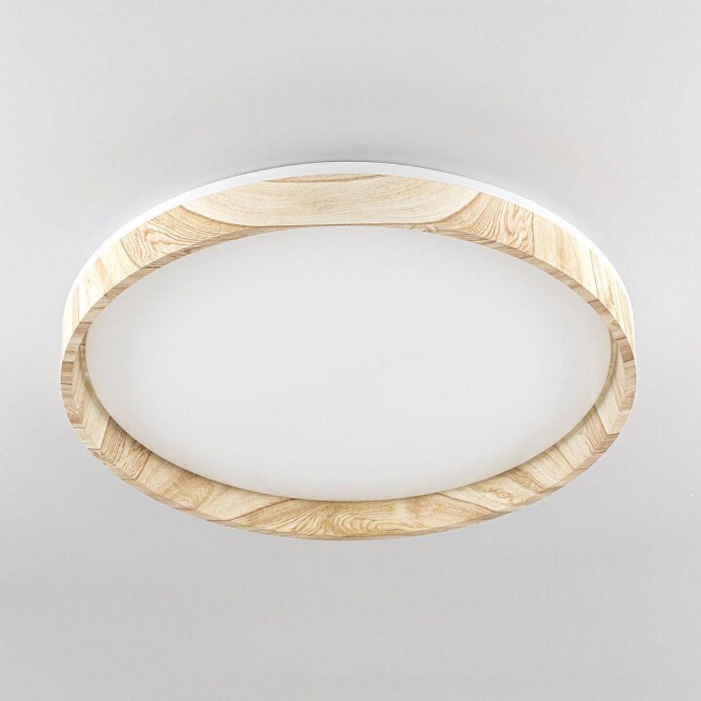 Накладной светильник Citilux ENZO CL753452G