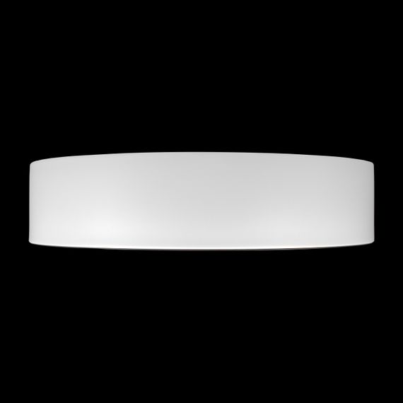 Потолочный светильник Loft it Coin 10202 WB