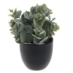 GAEM Цветочная композиция, L8 W8 H14 см, 3в.