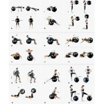 Фитбол Sportage полумассажный 65 см 900гр (с насосом), Красный