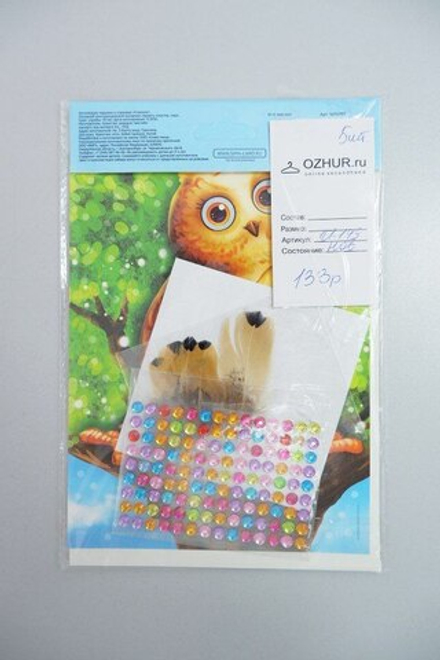 Набор для творчества "Аппликация перьями и стразами: Совёнок" 3+, новый