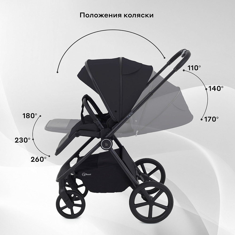 Детская коляска Rant Teo 2 в 1 Black