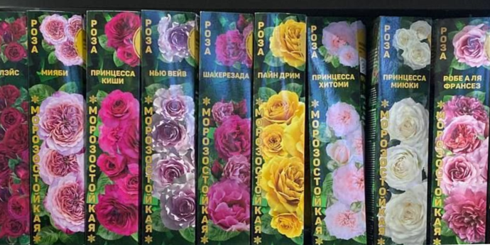 Розы "Золотая Сотка Алтая" в коробках в наличии! 104 шикарных сорта!