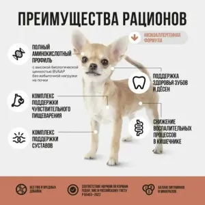 Уценка! Повр.упак./ Сухой корм BOWL WOW для взрослых собак мелких пород с ягненком, индейкой, рисом и добавлением тыквы