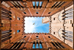 Коллекция FRAME