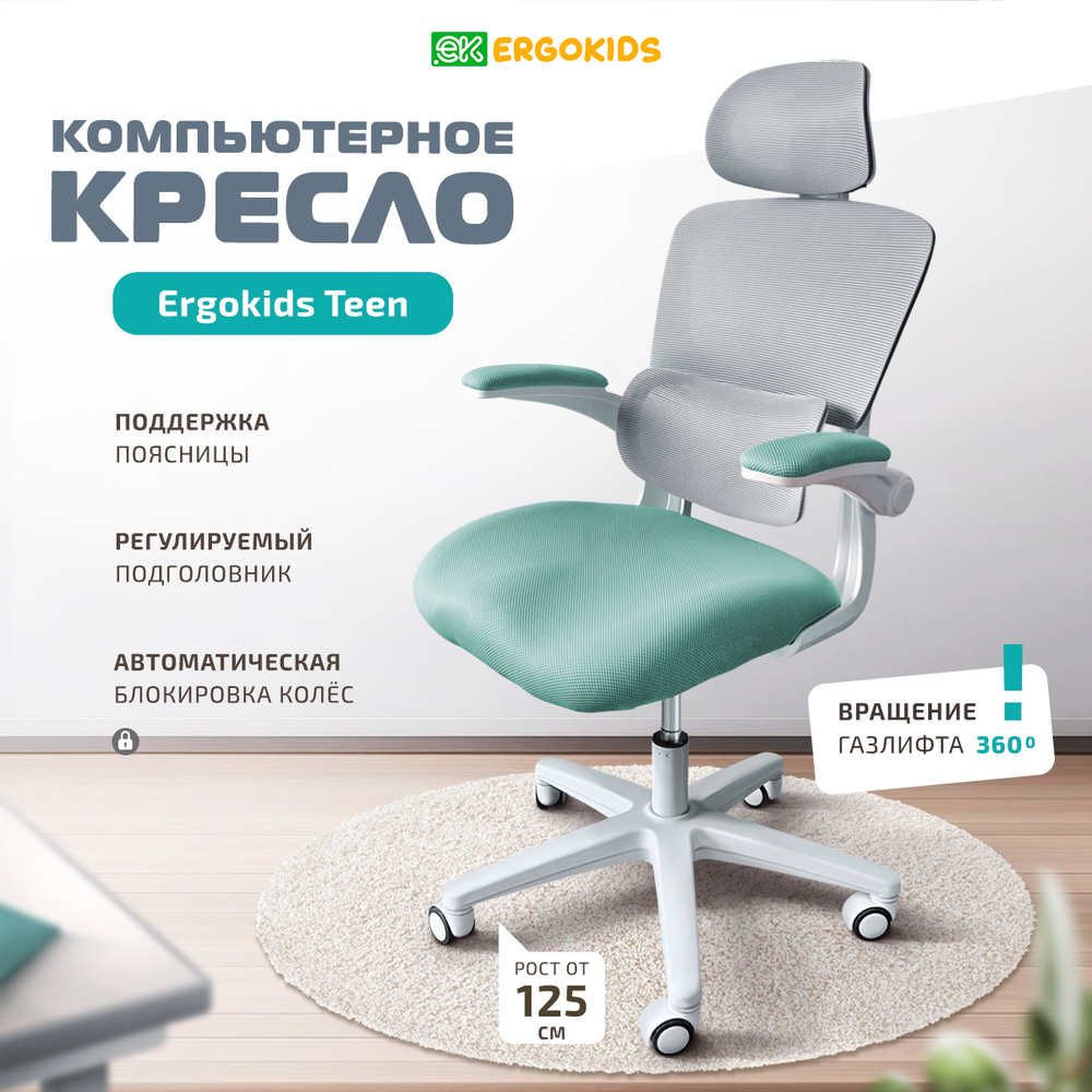 Детское кресло Ergokids Teen (T - 1)