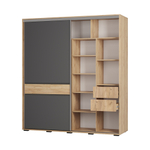 Шкаф-купе Крафт-10