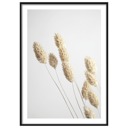 Интерьерная картина в технике цифровой печати. АРТ 003 Сухоцветы