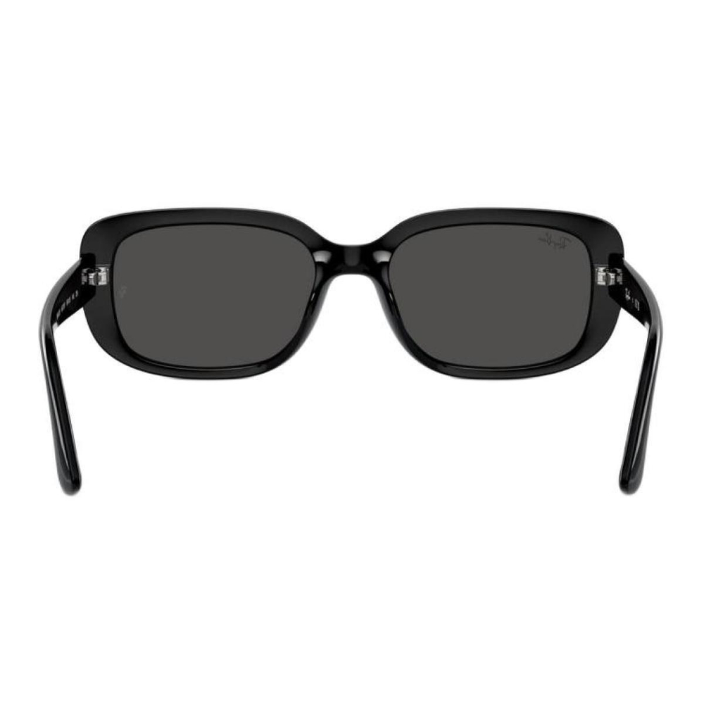 Очки RayBan Logo, RB4421D667787