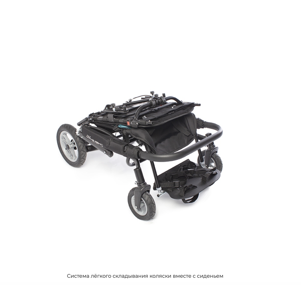 Складная коляска для детей с ДЦП Caretta Buggy