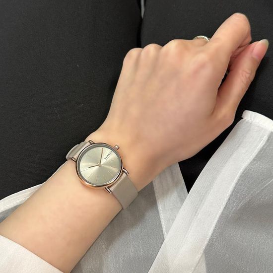 Женские часы Skagen SKW3060