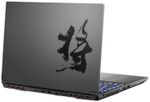 Ноутбук  Colorful EVOL X17 AT 23H1 17.3 ", Core i5, 16 Гб RAM, 512 Гб SSD, GeForce RTX 4050, Серый