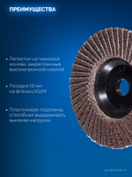 ЗУБР 76 х 10 мм, P60, 3 шт., КЛТ для мини-УШМ, Профессионал (36591-76-60-H3)