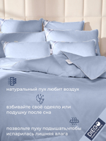 Одеяло зимнее Вега Евро Макси 220х240 Голубое