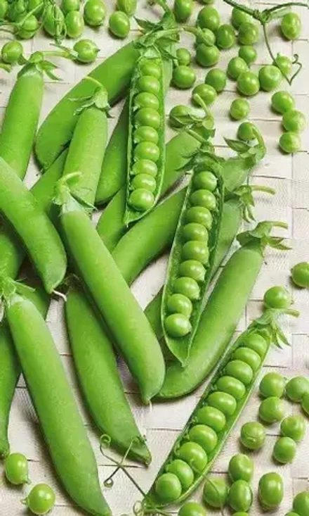 Горох Детская радость - сахарный 8г УрДачник