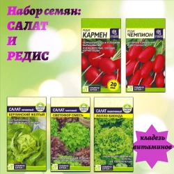 Набор семян: салат и редис