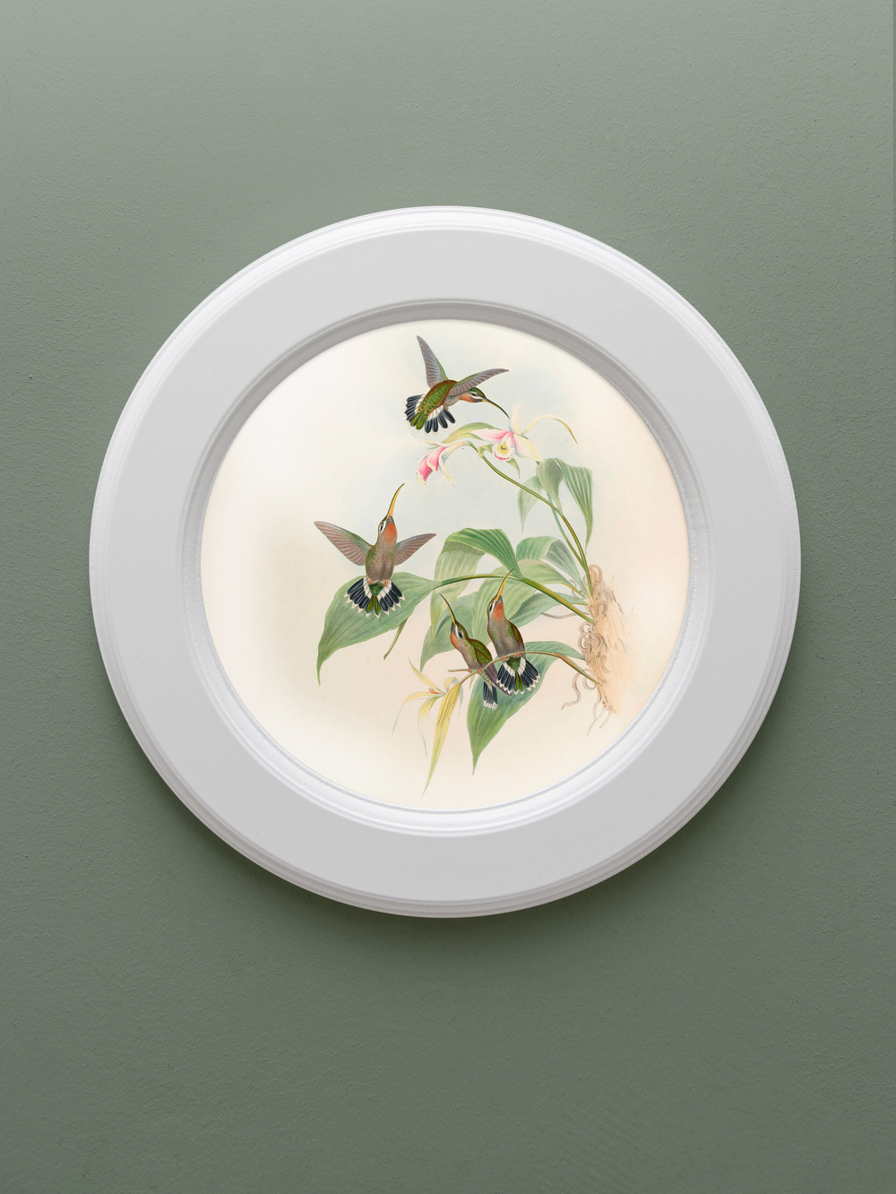 Картина на натуральном холсте в круглой деревянной раме "Райские птички"