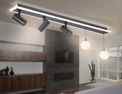 Ambrella Потолочный светодиодный светильник со сменной лампой и пультом управления LineTech FL66202