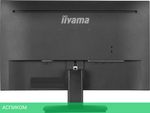 Монитор Iiyama ProLite XU2493HS-B6