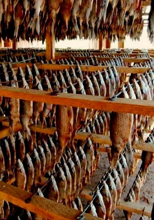 Крупный опт