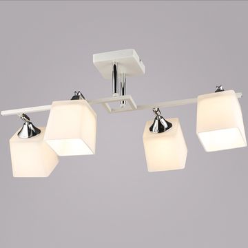 06646-0.3-04 WT+CR светильник потолочный