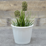 Горшок цветочный Дионис 2,6л, белый