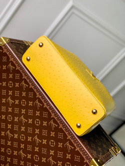 Louis Vuitton Capucines MM