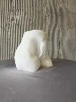 Ваза Тело для сухоцветов и декора