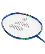 Набор для бадминтона Fusiontec 770K, 2 ракетки, синий/зеленый