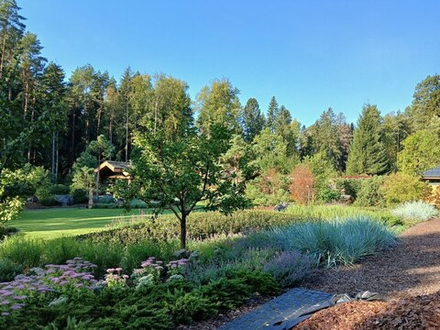 Озеленение