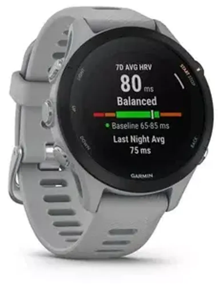 Смарт-часы Garmin Forerunner 255S, серый