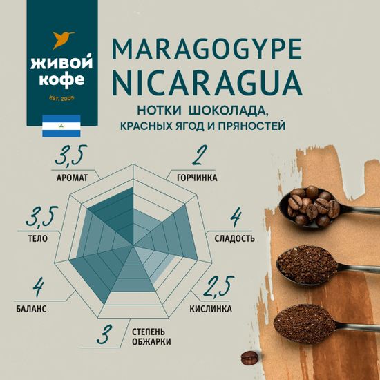 Кофе Марагоджип Никарагуа / Maragogype Nicaragua 1000 г