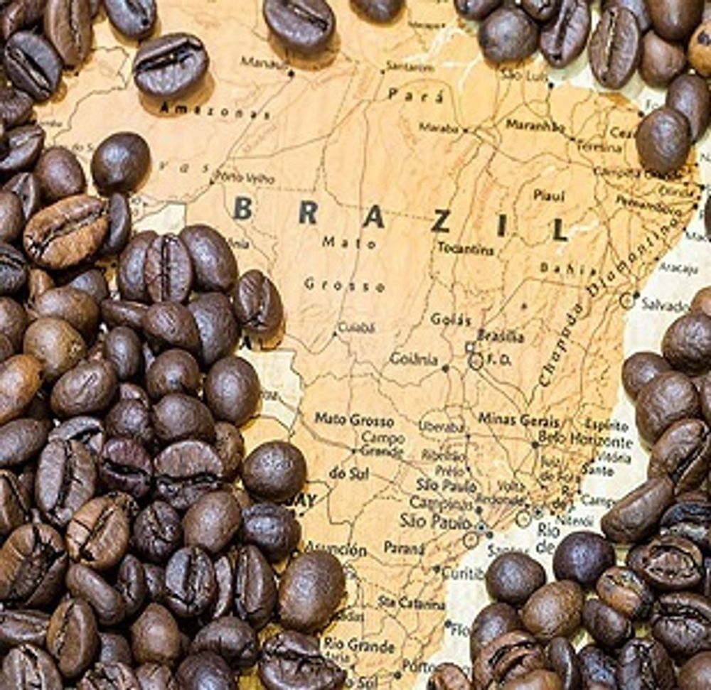 Экспортировать кофе. Кофе какао Бразилия. Бразилия кофе Арабика. Сорта кофе Бразилия. Кофе в зёрнах Brazil Arabika.