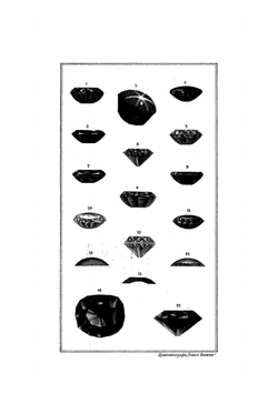 Драгоценные камни | М. Пыляев