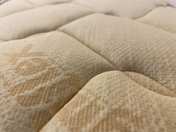 NEW MERINO