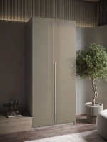 Шкаф распашной 100х50х220 двухдверный Mirage 3