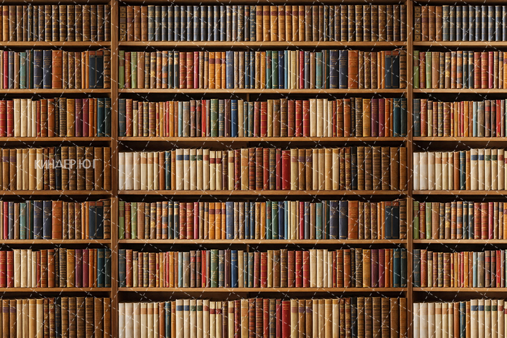 Фотофон "Библиотека" арт. ФФ905-102