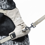 Шлейка United Pets для собак Citylife Y-образная XS 15 x 38-48, бежевый