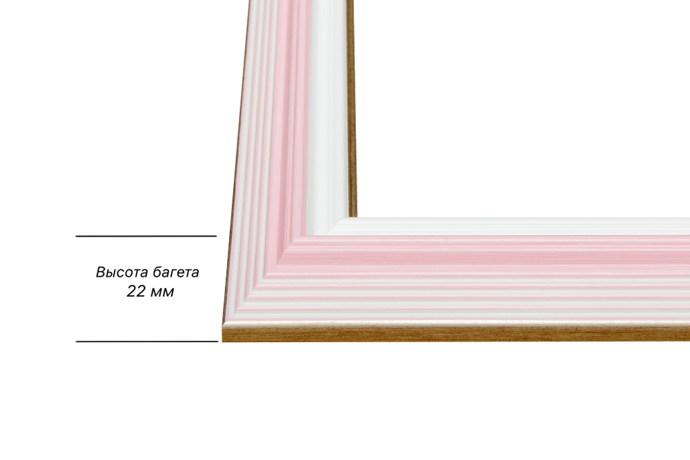 Рама 45x55 для картин и фотографий RP0810858-55