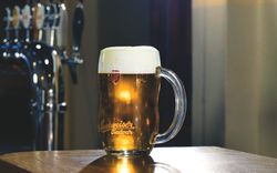 Budweiser Budvar Бар Budweiser Budvar Бар