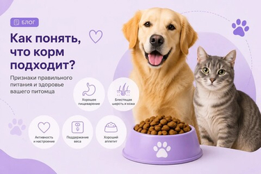 Как понять, что корм подходит вашему питомцу?