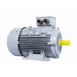 Электродвигатель ESQ PR 160 L4-SDN-Б1-S12-IE2 15/1500 IMB3